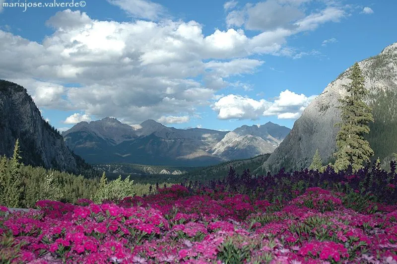 Los mejores paisajes del mundo: nandito eee