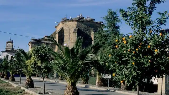 Los mejores tejados de España para ver cigüeñas - pueblolleno.