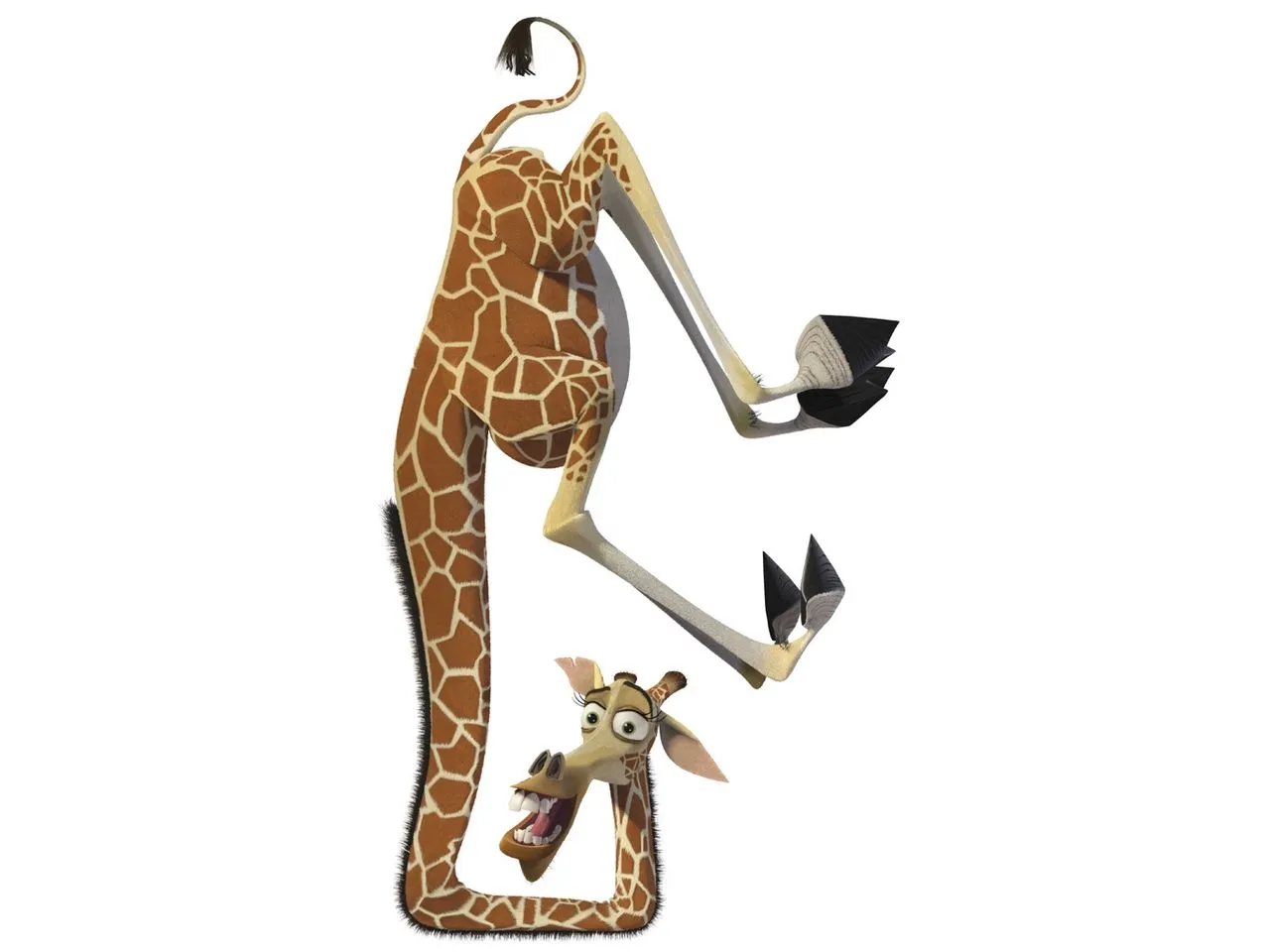 Melman Madagascar 2 Picture Pictures