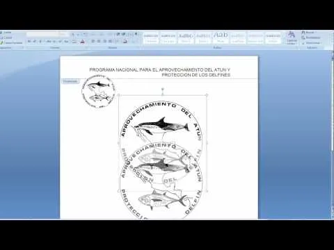 MEMBRETADA | Triton TV