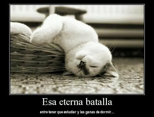 Memedroid - "pereza sal de este cuerpo trabajador" por Carlitox69