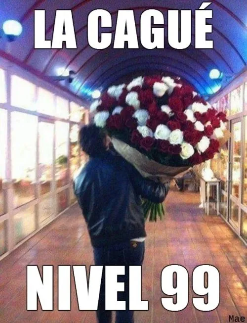 memes mae imagenes flores ramo de flores la cagué finofilipino •