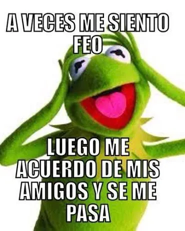 memes Rana Rene | Vecinas | Pinterest | Totalmente verdad, Meme y ...