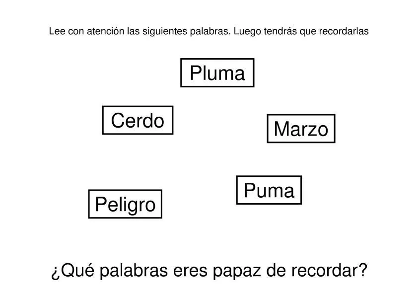 Trabajamos la memoria con palabras para adultos y niños. Editables ...