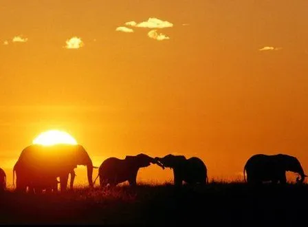 MEMORIAS DE ÁFRICA | El cuaderno de poemas de Rubén Lapuente