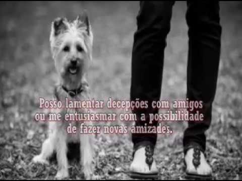 MENSAGEM DE REFLEXÃO ....LUZES DA RIBALTA - CHARLIE CHAPLIN - YouTube