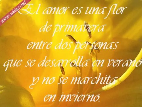 MENSAJES DE AMOR|TARJETAS DE AMOR|POEMAS DE AMOR|PALABRAS DE AMOR ...