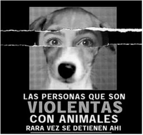 Mensajes de concientización « Adopta un amigo, NO lo compres!
