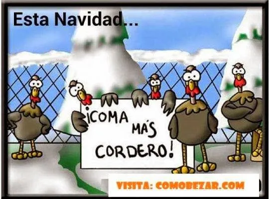 Mensajes de navidad graciosos ~ PENSAMIENTOS DE AMOR