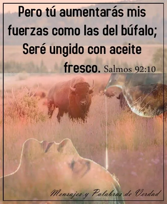 Mensajes y Palabras de Verdad: Salmos en bellas imagenes