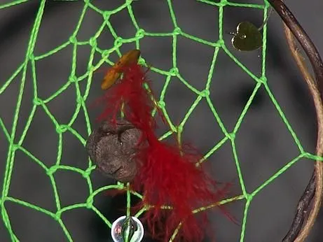 Mensajes de reflexion: Cazador de Sueños | Marcial Rafael Candioti ...