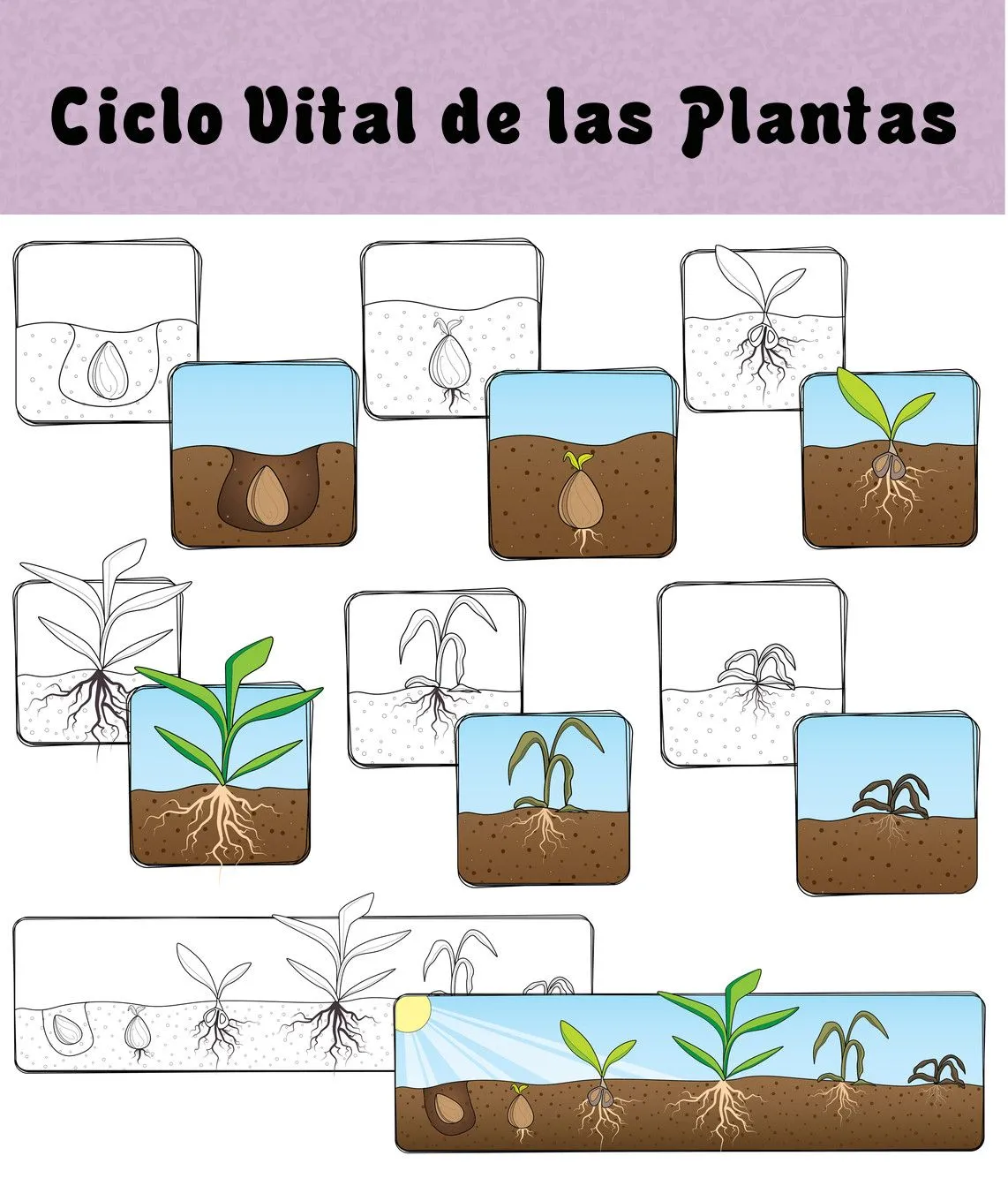 Menta Más Chocolate - RECURSOS PARA EDUCACIÓN INFANTIL: CICLO DE ...