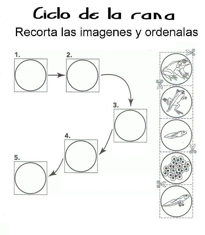 Menta Más Chocolate - RECURSOS PARA EDUCACIÓN INFANTIL ...