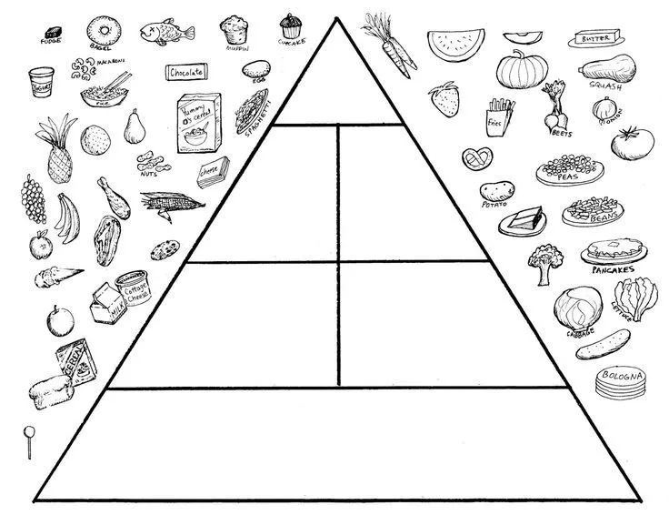 Los alimentos piramide para pintar - Imagui