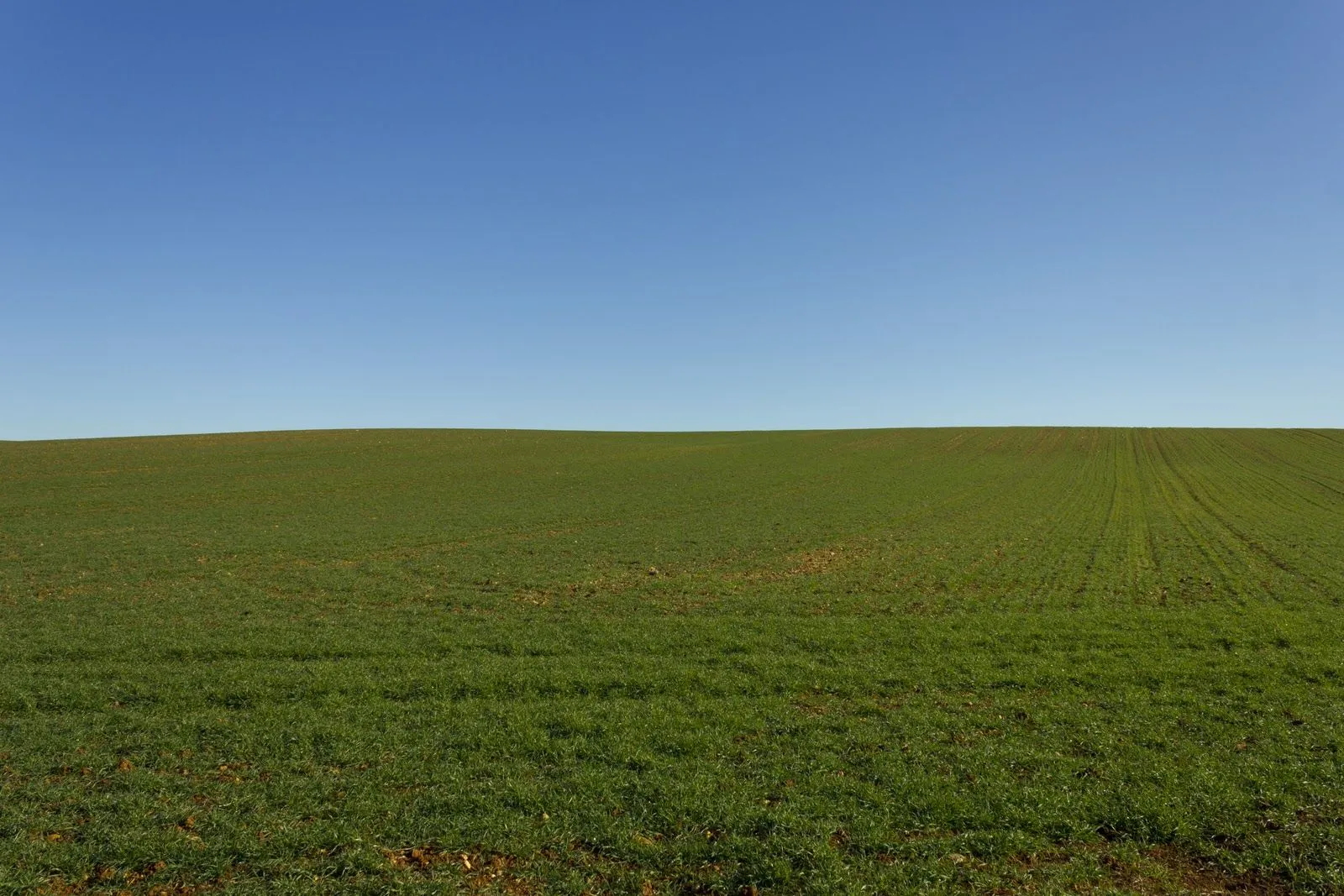 Mentes Ignorantes: TIERRA DE CAMPOS