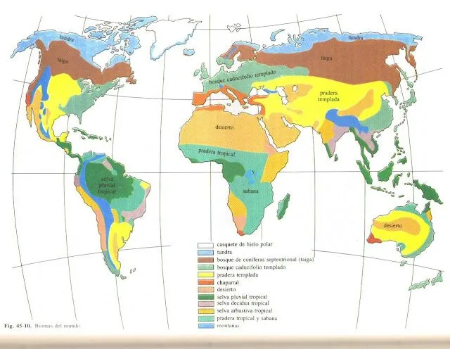 EL MENTIDERO DE MIELOST: HISTORIAS DE EXTINCIÓN: LOS RENOS Y LOS ...