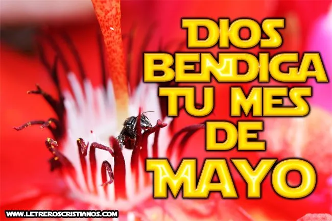 Mes De Mayo Tumblr | Efemérides en imágenes