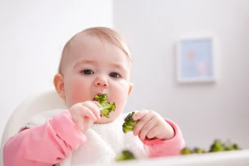 6 meses después, aprendiendo a comer paso a paso. | Maternidad al ...