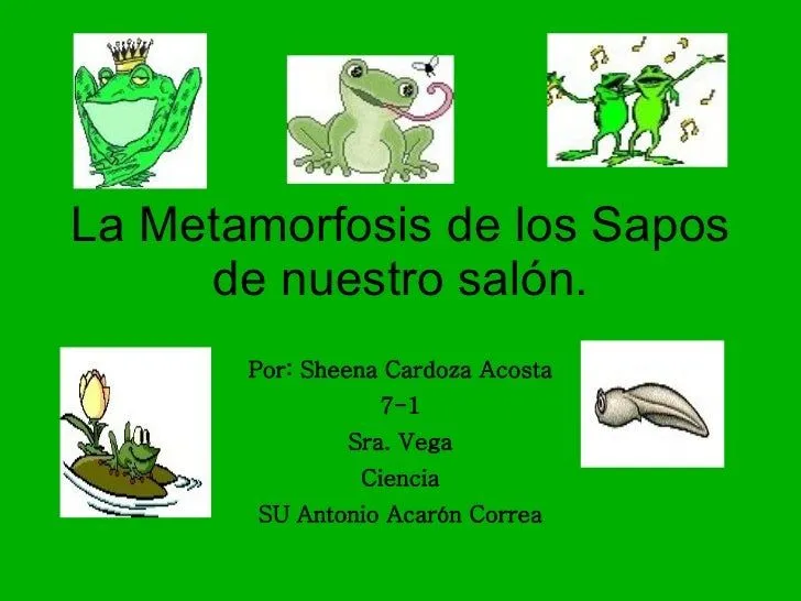 La Metamorfosis De Los Sapos