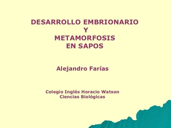 Metamorfosis de sapos Alejandro Farías