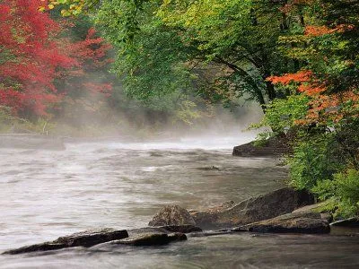 metsoidregmu: wallpapers en movimiento