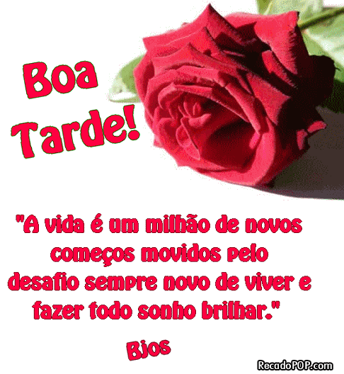 Meu Blog... Minha Terapia! - BOA TARDE | meublogminhaterapia ...