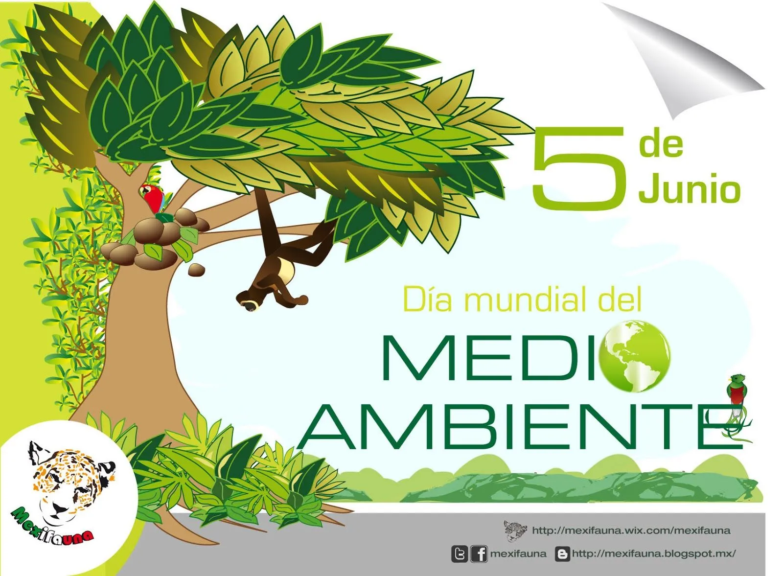 MEXIFAUNA: DÍA MUNDIAL DEL MEDIO AMBIENTE