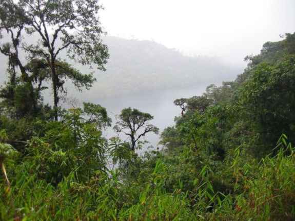 COSAS MIAS...: SELVA DEL PERÚ