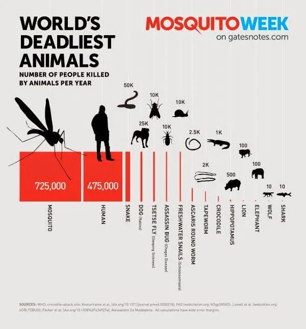 microBIO: ¿Cuál es el animal más peligroso del planeta?