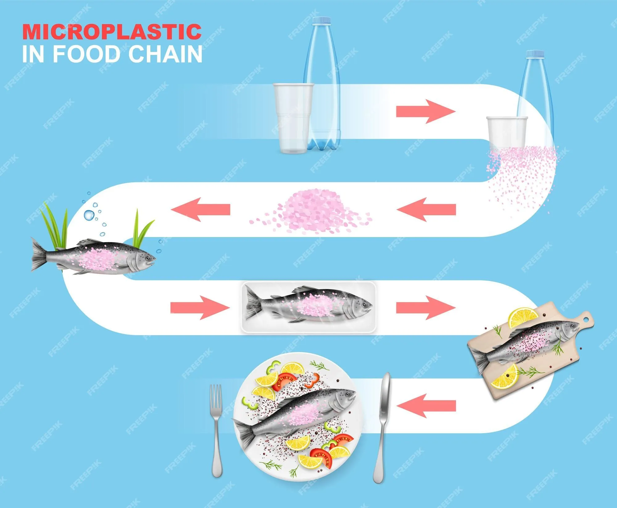 Microplásticos en la cadena alimentaria vector infografía entorno marino  impacto de residuos plásticos en los animales acuáticos ... | Vector Premium