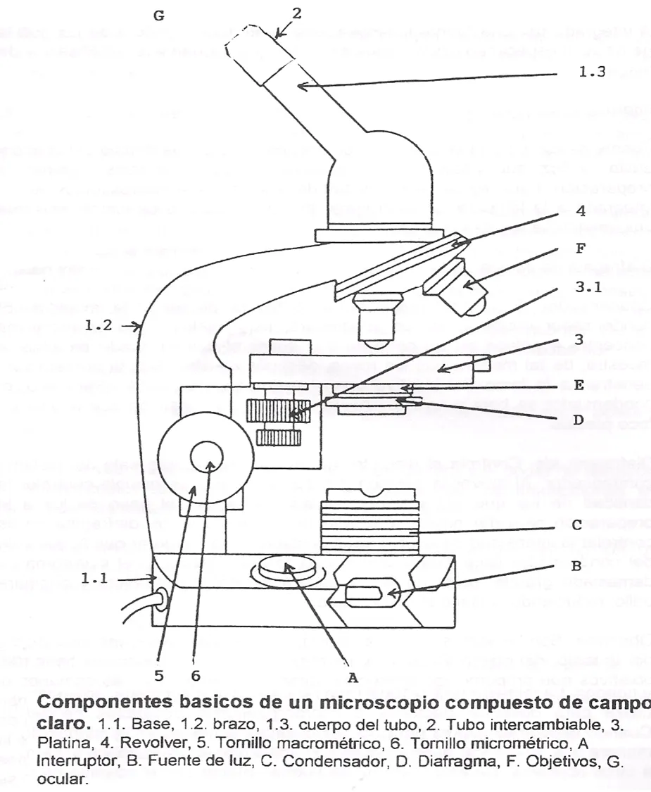 MICROSCOPIO | De biología y lo que se derive de ella