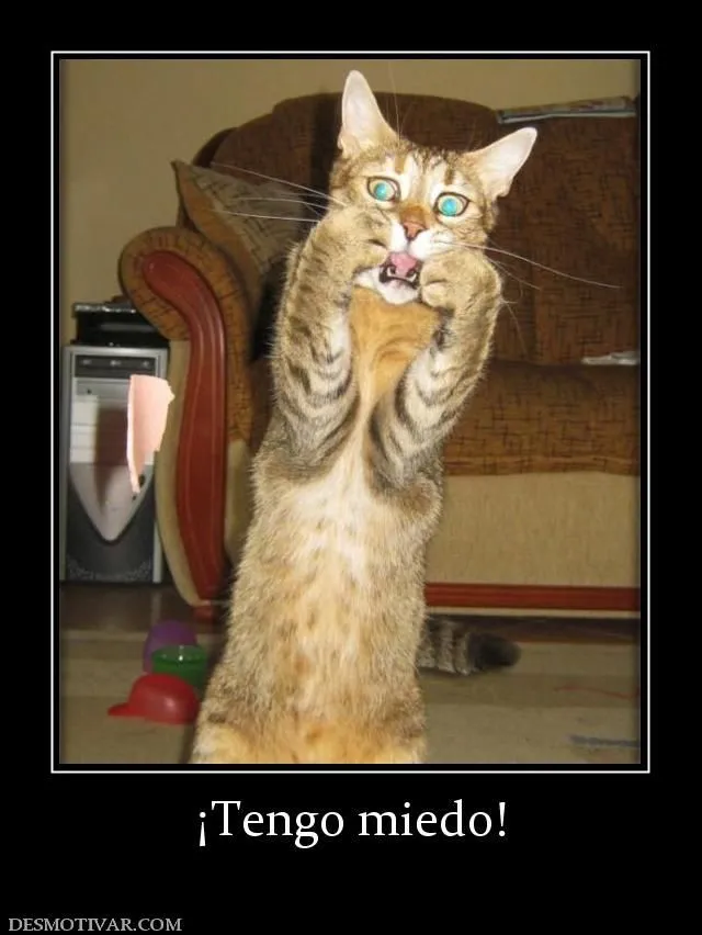 Tengo miedo (tener expressions) | Cosas chistosas | Pinterest