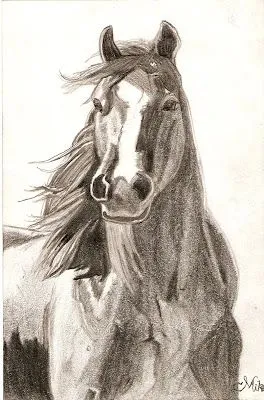 MikO 32: Dibujo de caballo a lapiz