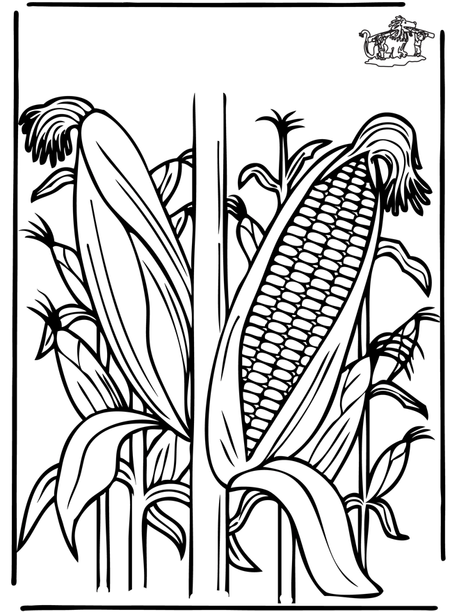 milpa de Maíz Colouring Pages