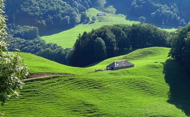 Minecraft Collection: Fotos de paisagens naturais Recados