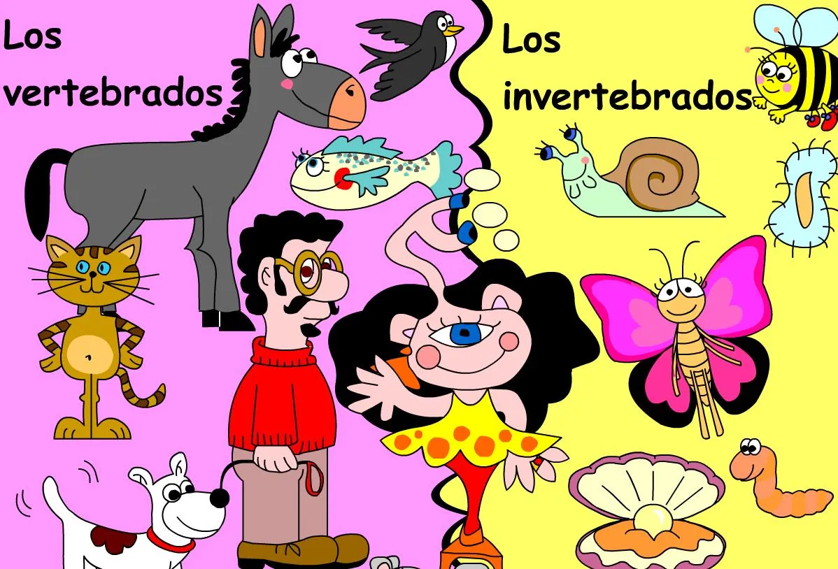 MINIESFERA: ANIMALES INVERTEBRADOS