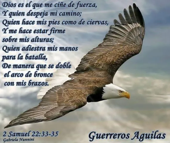 Ministerio de Altura "Aguilas del Rey CRISTIANOS EN VICTORIA ...