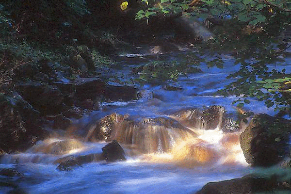 Ministraciones: Ríos de Agua Viva