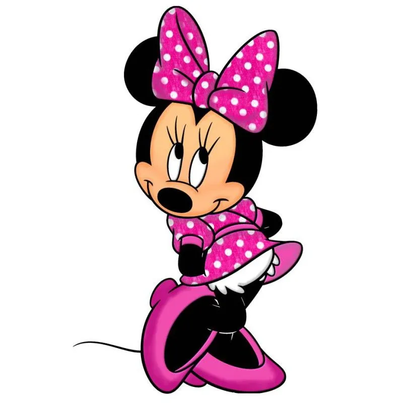 Minnie Fucsia 8x12cmss | Aplicación