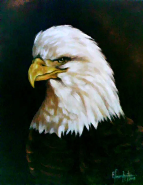 mirada de aguila Eliezer Matos Feliz - Artelista.com