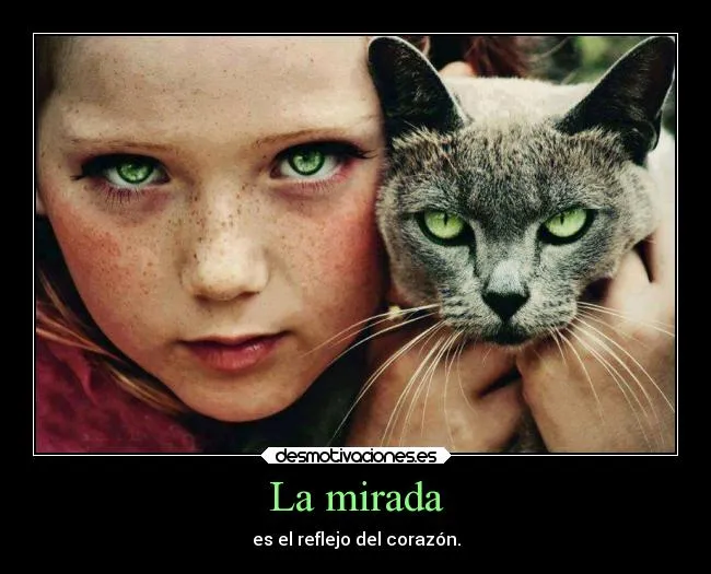 La mirada | Desmotivaciones