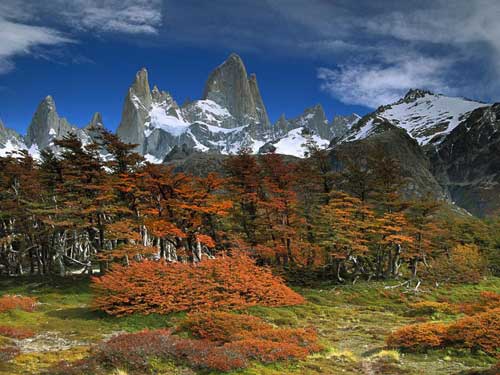 Mirando al mundo con sentimientos: Bellezas naturales de Argentina