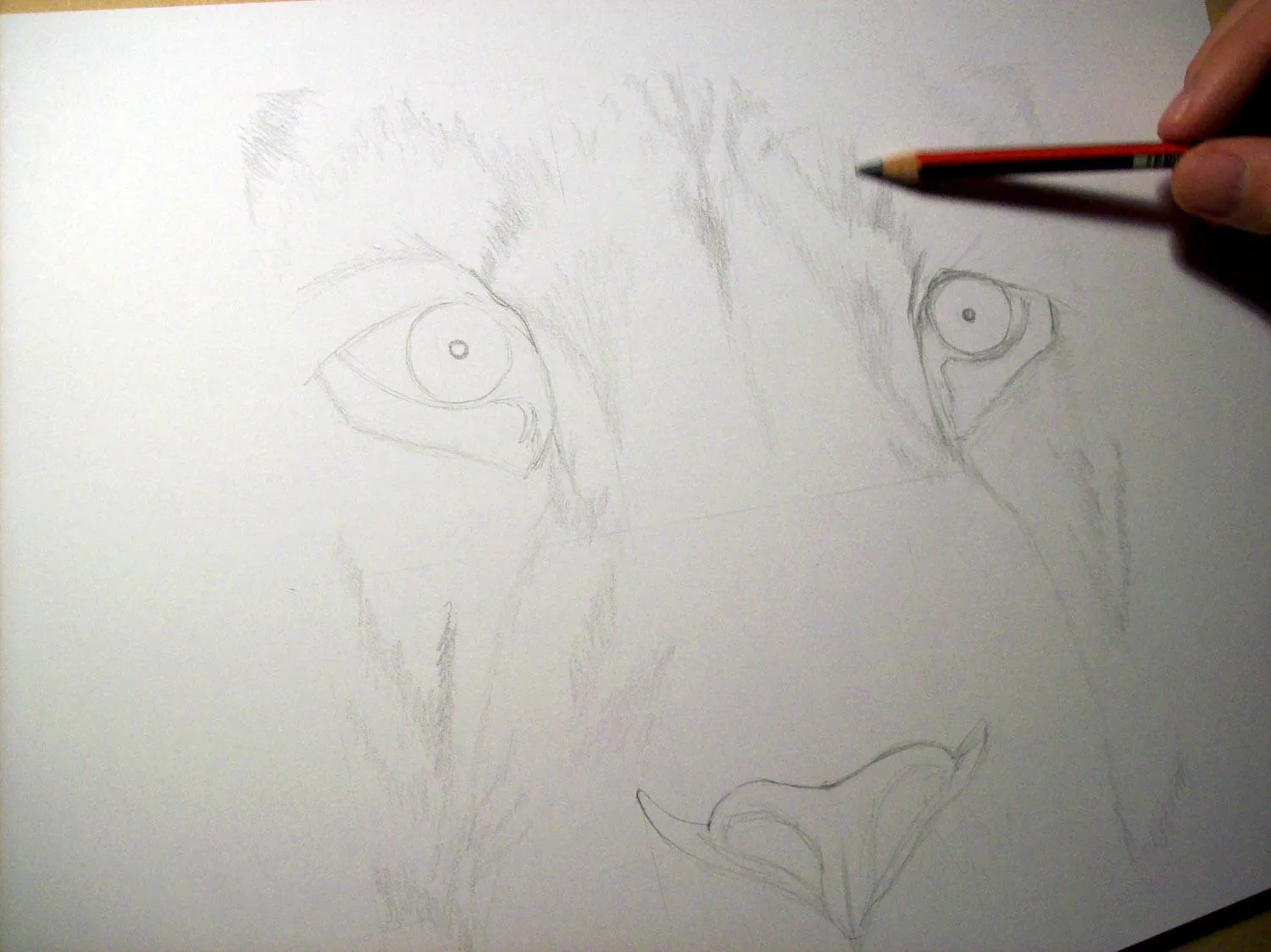 Ahora mismo: dibujando la de cara de un león /Right now: drawing the ...