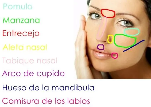 MiisMDeliiciious . . . Maquillaje, moda, tutoriales.: Partes de la ...