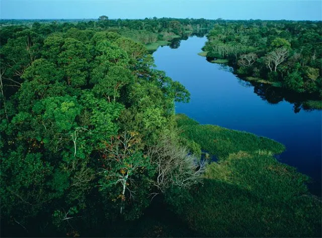 El Misterio de las Selvas Tropicales - Increibles Paisajes | Fotos ...