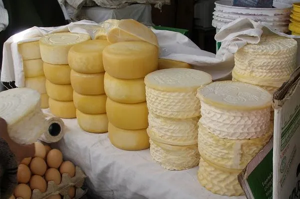 El mito de que a los ratones les gusta el queso es falso | Rincón ...