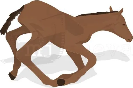 mj Ineva: Vectores de Caballos