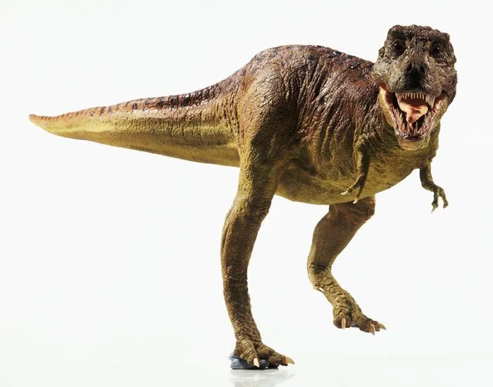 Model-of-a-Tyrannosaurus--004.jpg