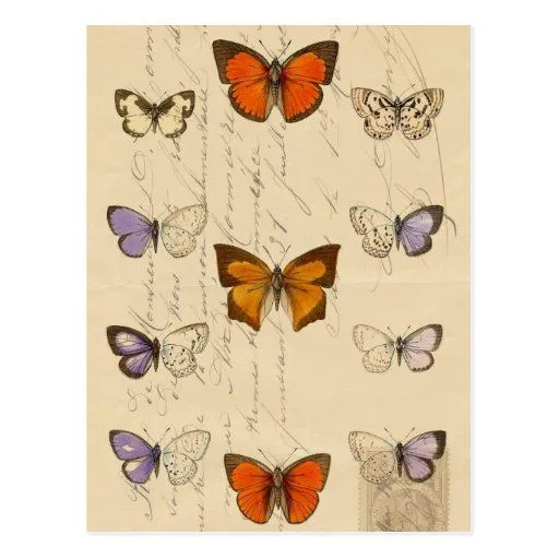 Modelo de mariposas elegante francés del vintage tarjetas postales ...