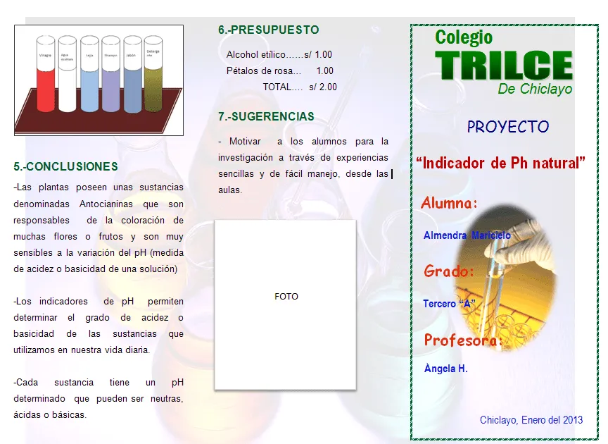 Modelo de tríptico para feria de ciencias